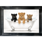 Cubs in a Tub - Framed Picture