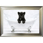 Panther Cub in the Bath - Framed Picture
