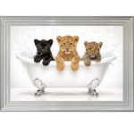 Cubs in a Tub - Framed Picture