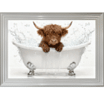 Highland Calf in the Bath - Framed Picture