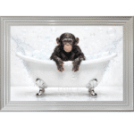 Baby Chimp in the Bath - Framed Picture