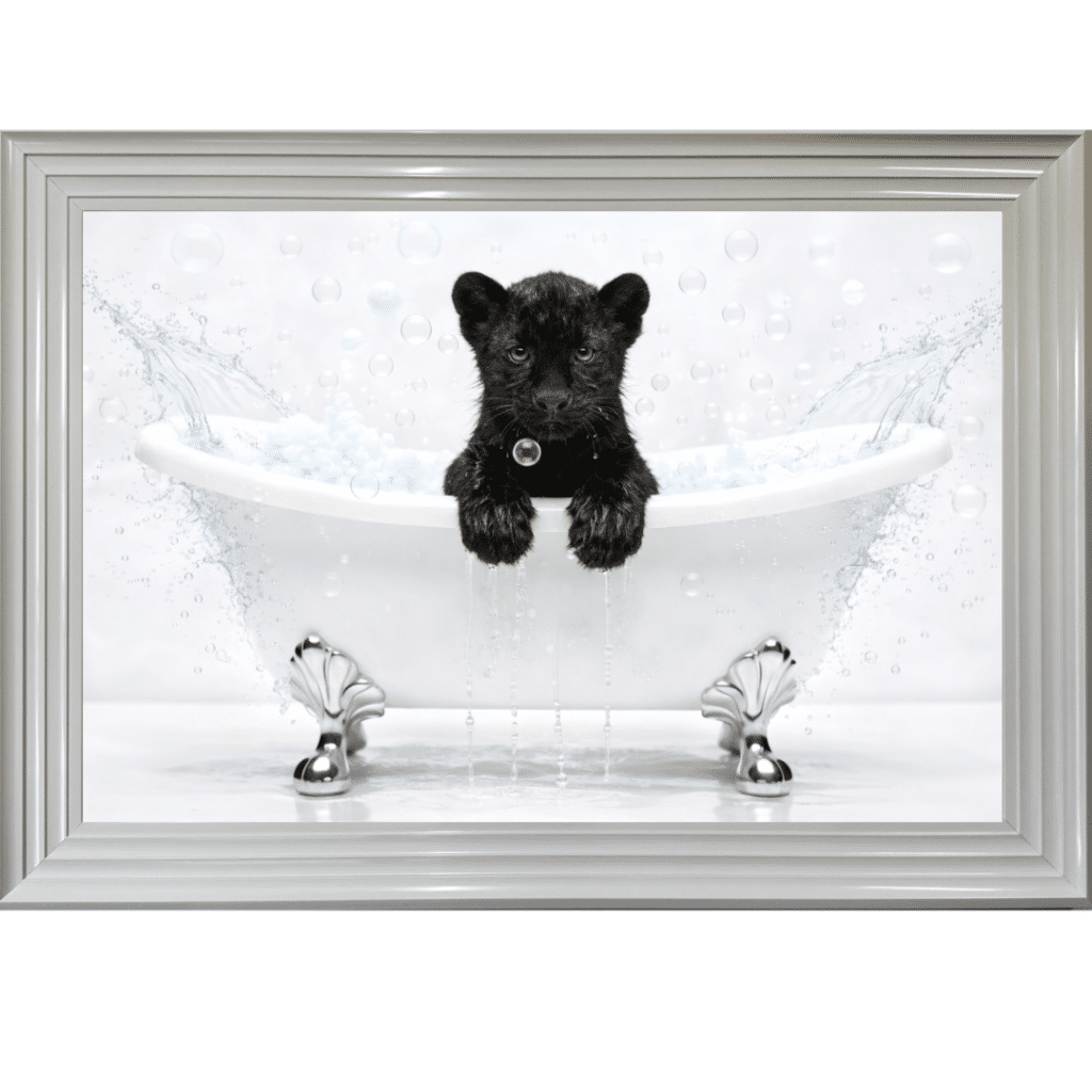 Panther Cub in the Bath - Framed Picture