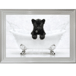 Panther Cub in the Bath - Framed Picture