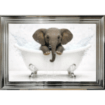 Baby Elephant in the Bath - Framed Picture