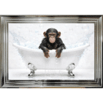 Baby Chimp in the Bath - Framed Picture
