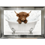 Highland Calf in the Bath - Framed Picture