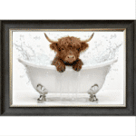 Highland Calf in the Bath - Framed Picture
