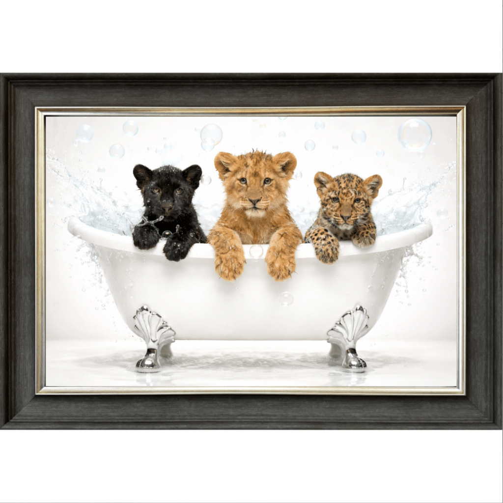 Cubs in a Tub - Framed Picture