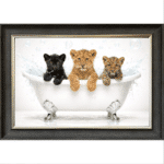Cubs in a Tub - Framed Picture